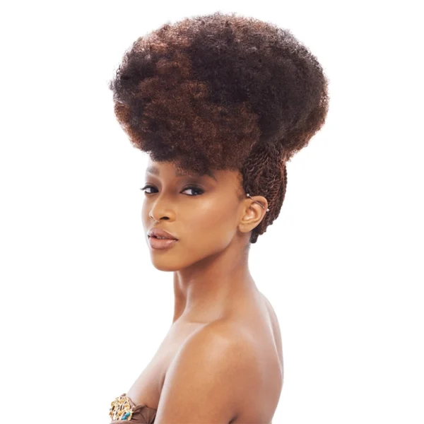 JANET 2X AFRO KINKY BULK