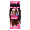 JANET 3X BOHO CHIC PASSION TWIST