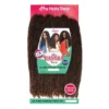 JANET 6X AFRO HAVANA TWIST